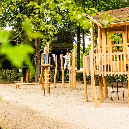 Veluwe Met Binnenzwembad & Wellness - 12 Personen - Rolstoeltoegankelijk