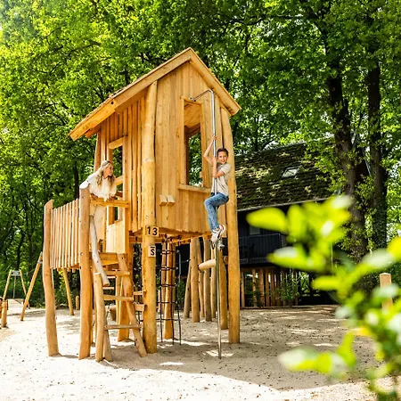 Veluwe Met Binnenzwembad & Wellness - 12 Personen - Rolstoeltoegankelijk Villa Wekerom