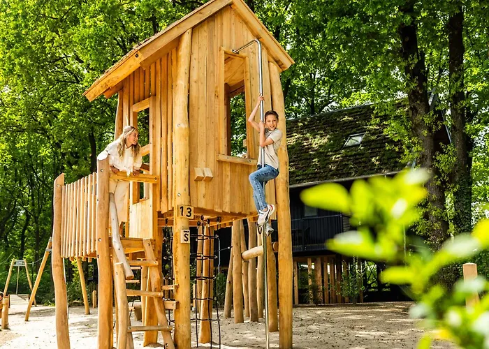 Veluwe Met Binnenzwembad & Wellness | 12 Personen | Rolstoelvriendelijk * Wekerom